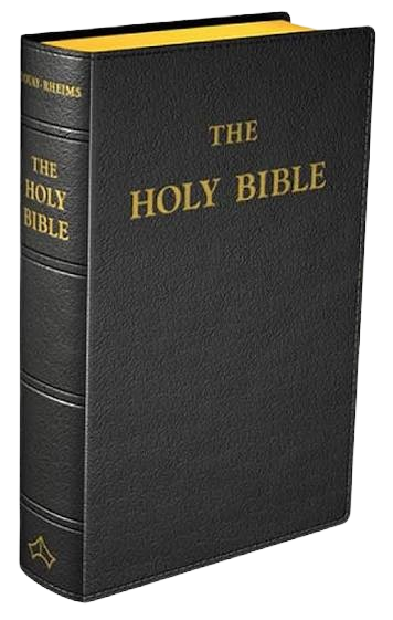 Holy Bible
